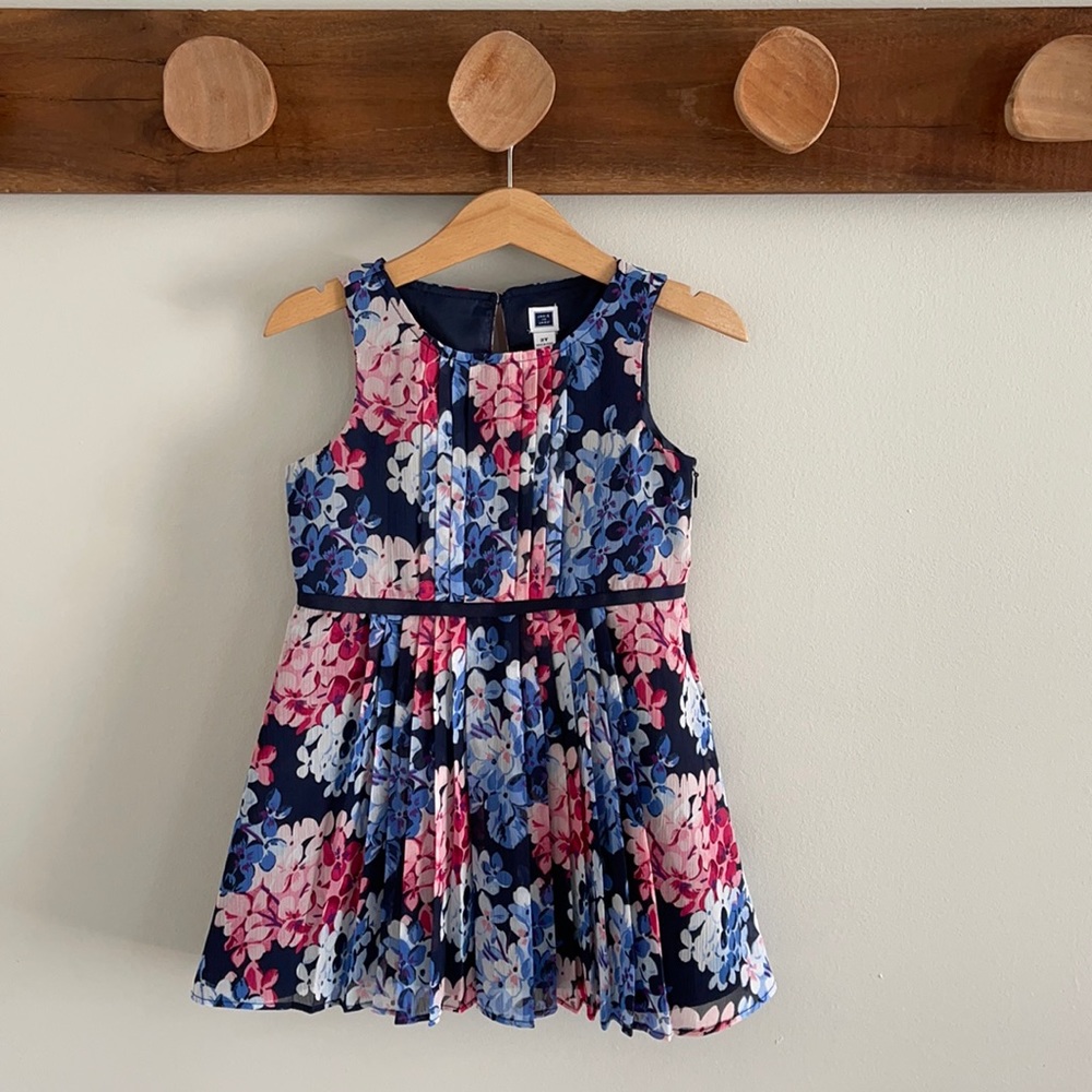 Janie & Jack dress, 2T
